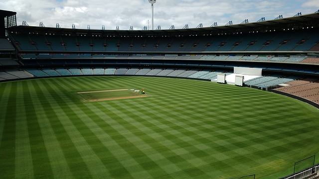 的决策