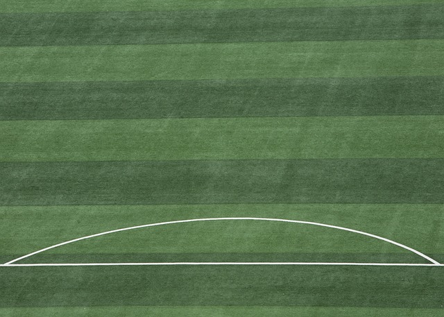 在预测这场 在预测这场