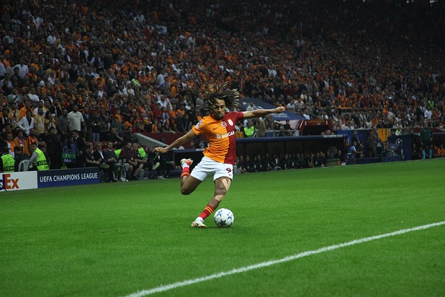 摘取了总决 摘取了总决